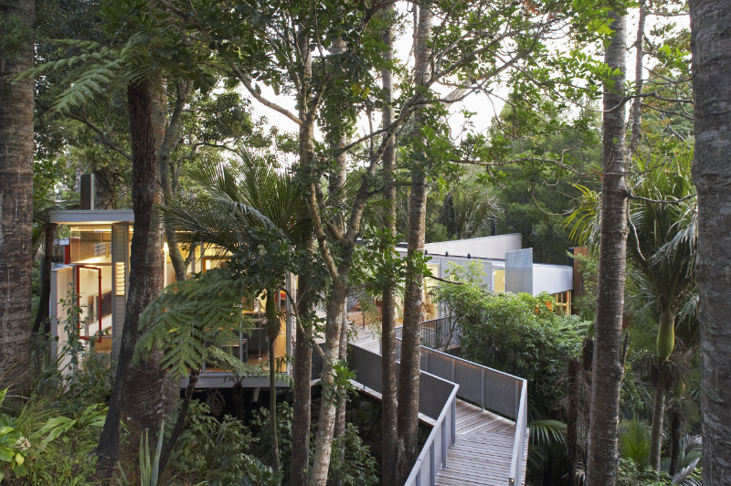 A modern architectural building can be seen through the trees. A walkway leads to it. 